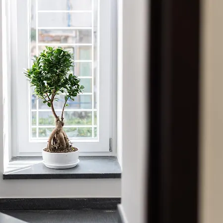 Location 99 Appartement *